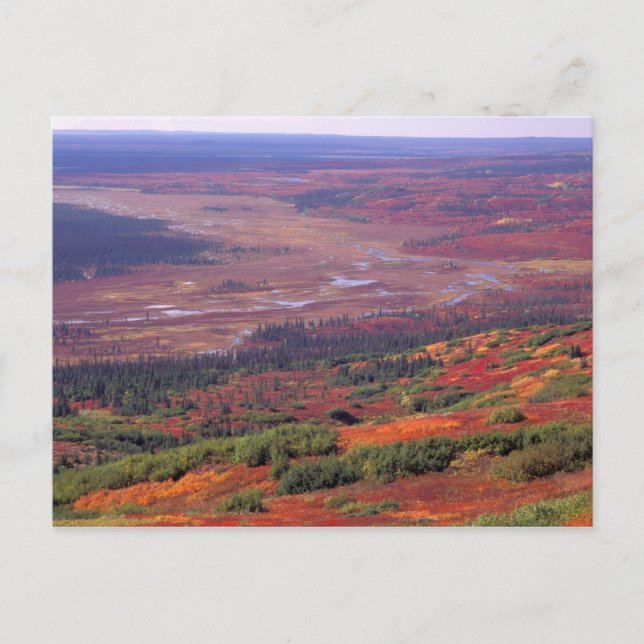 NA, USA, Alaska, Denali NP, View of McKinley Postkarte (Vorderseite)