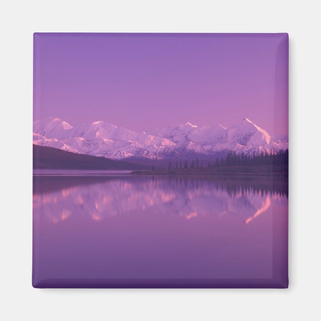 NA, USA, Alaska, Denali NP, Wonder Lake, Abend Magnet (Vorne)