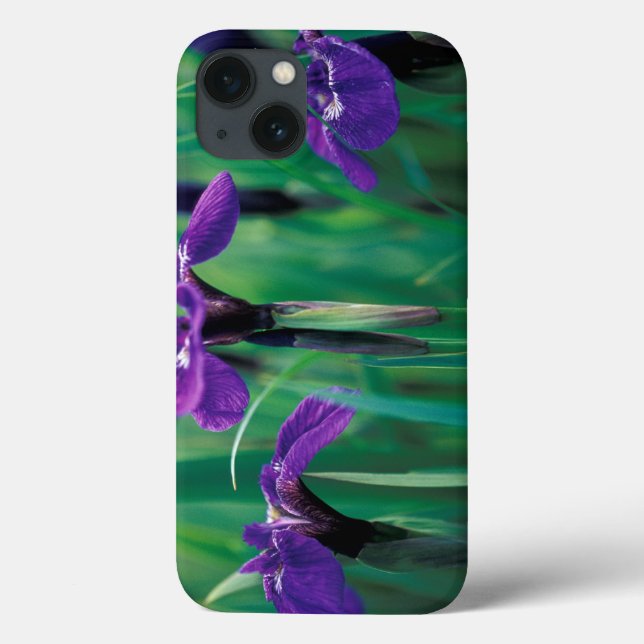 NA, USA, Alaska, Ritterinsel, Wilde Iris Case-Mate iPhone Hülle (Rückseite)