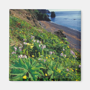 NA, USA, Alaska, Semidi Islands, Wildblumen Magnet