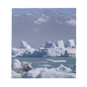 NA, USA, Alaska, St. Elias-Gebirge, Alsek-Fluss, Notizblock