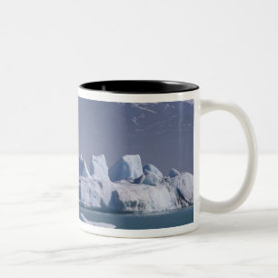 NA, USA, Alaska, St. Elias-Gebirge, Alsek-Fluss, Zweifarbige Tasse