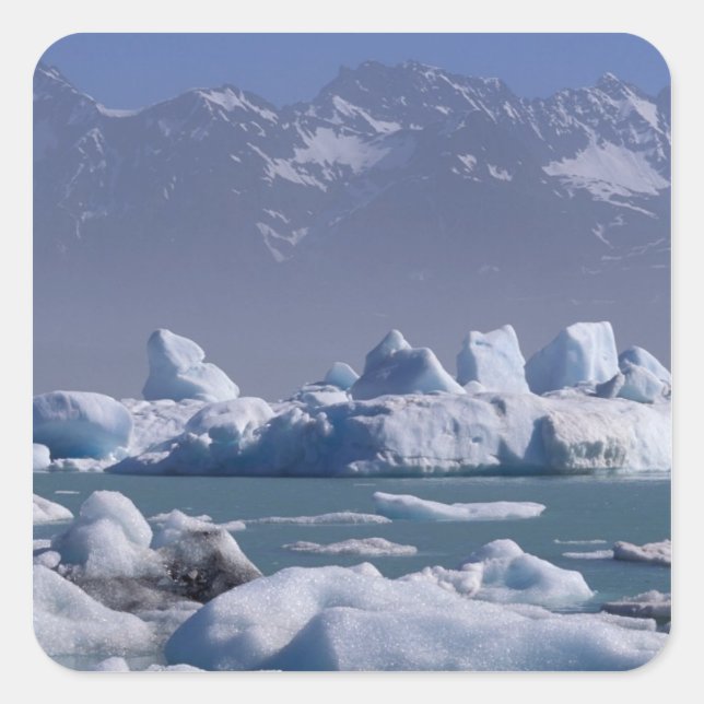 NA, USA, Alaska, St. Elias Range, Alsek River, Quadratischer Aufkleber (Vorderseite)