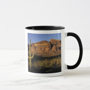 NA, USA, Arizona. Organ Pipe Cactus National 2 Tasse