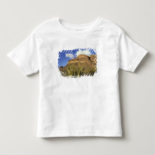 NA, USA, Arizona. Organ Pipe Cactus National 3 Kleinkind T-shirt