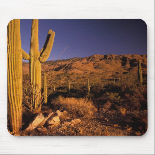 NA, USA, Arizona, Saguaro National Monument, Mousepad