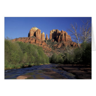 NA, USA, Arizona, Sedona. Cathedral Rock und Eiche