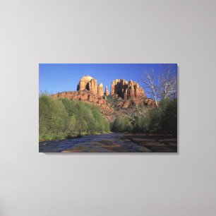 NA, USA, Arizona, Sedona. Cathedral Rock und Eiche Leinwanddruck