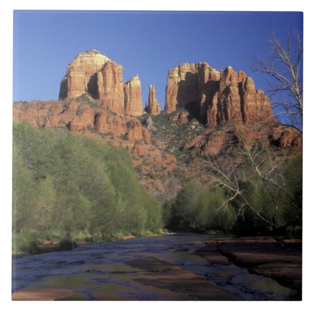 NA, USA, Arizona, Sedona. Domstein und Eiche Fliese (Vorderseite)