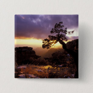 NA, USA, Arizona, Tucson, Sonnenuntergang und eins Button