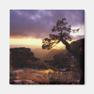 NA, USA, Arizona, Tucson, Sonnenuntergang und eins Magnet