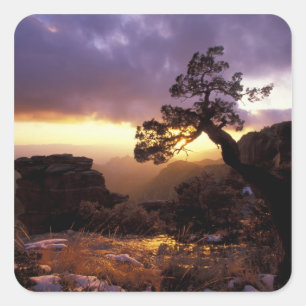 NA, USA, Arizona, Tucson, Sonnenuntergang und eins Quadratischer Aufkleber