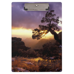 NA, USA, Arizona, Tucson, Sunset und Lone Klemmbrett