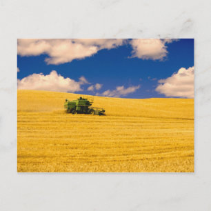 NA, USA, Bundesstaat Washington, Palouse-Region, Postkarte