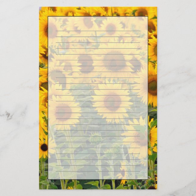 Na, USA, Colorado, Sonnenblumen Briefpapier (Vorderseite)