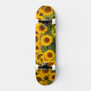 Na, USA, Colorado, Sonnenblumen Skateboard