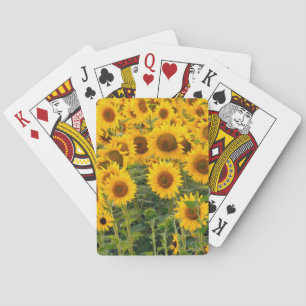 Na, USA, Colorado, Sonnenblumen Spielkarten