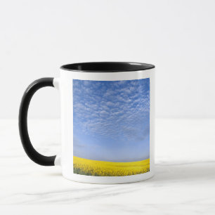 Na, USA, ID, Grangeville, Feld mit Rapsanbau Tasse