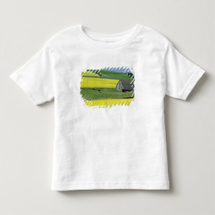 Na, USA, Idaho, nahe Potlatch, Canola und altem Kleinkind T-shirt