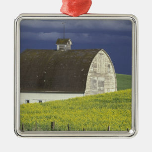 NA, USA, Idaho, südlich von Genesse, Rapsfeld Ornament Aus Metall