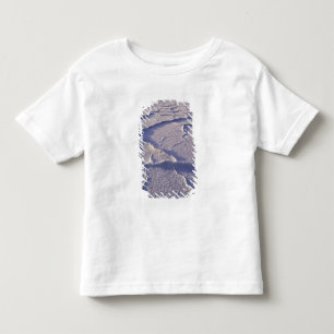 NA, USA, Kalifornien. Death Valley National Kleinkind T-shirt