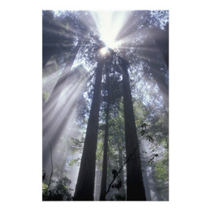 NA, USA, Kalifornien. Del Norte Coast State 2 Fotodruck