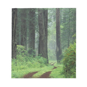NA, USA, Kalifornien. Del Norte Coast State Park.  Notizblock