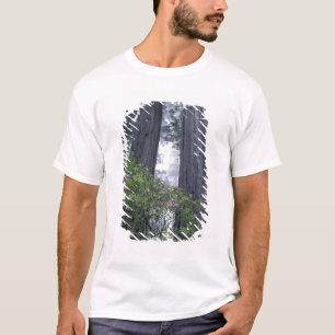 NA, USA, Kalifornien. Del Norte Coast State Park. T-Shirt
