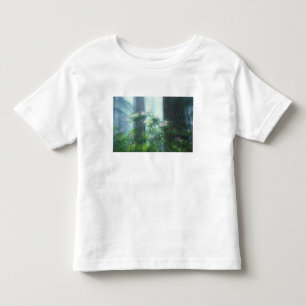 NA, USA, Kalifornien, Del Norte Redwoods State Kleinkind T-shirt