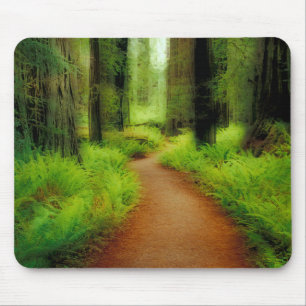 NA, USA, Kalifornien, Jedediah Smith Redwoods Mousepad