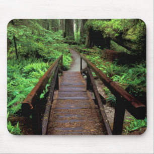 NA, USA, Kalifornien, Jedidiah Smith Redwoods Mousepad