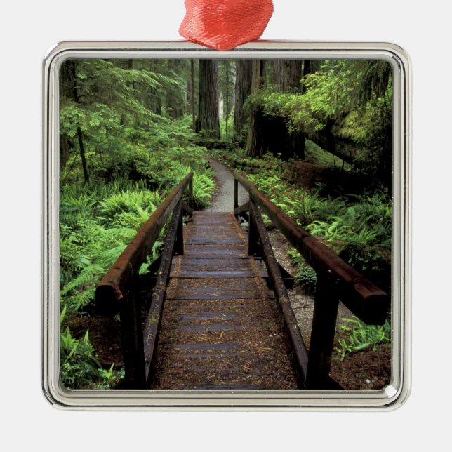 NA, USA, Kalifornien, Jedidiah Smith Redwoods Ornament Aus Metall (Vorne)