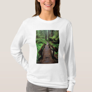 NA, USA, Kalifornien, Jedidiah Smith Redwoods T-Shirt