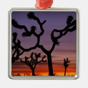 NA, USA, Kalifornien. Joshua-Tree-Nationalpark Ornament Aus Metall