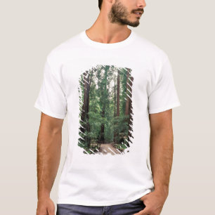 NA, USA, Kalifornien, Marin County, Muir Woods T-Shirt