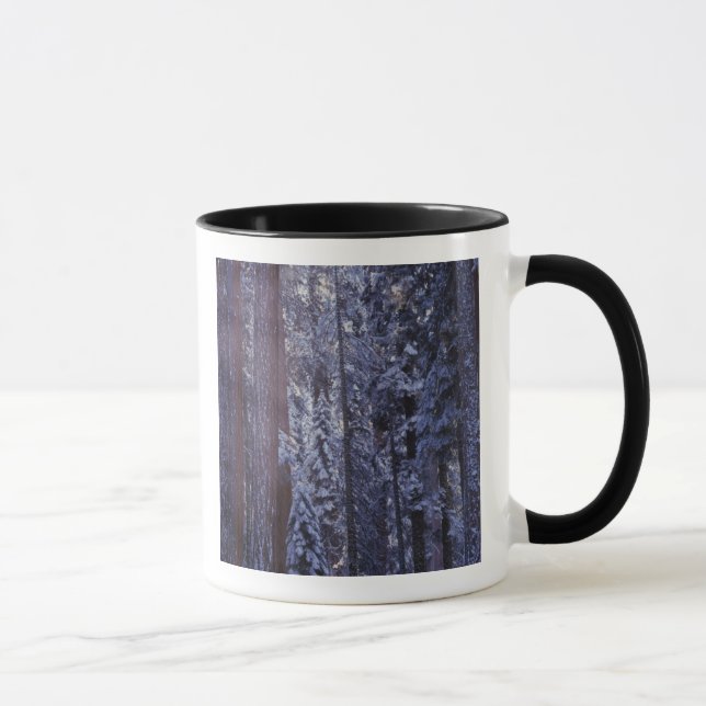 NA, USA, Kalifornien. Sequoia-Nationalpark2 Tasse (Rechts)
