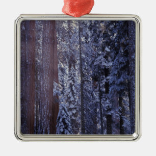 NA, USA, Kalifornien. Sequoia-Nationalpark. 2 Ornament Aus Metall