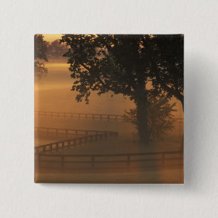 NA, USA, Kentucky. Nebeliger Sonnenaufgang in Kent Button