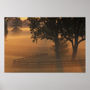 NA, USA, Kentucky. Nebeliger Sonnenaufgang in Kent Poster