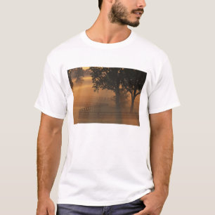 NA, USA, Kentucky. Nebeliger Sonnenaufgang in Kent T-Shirt