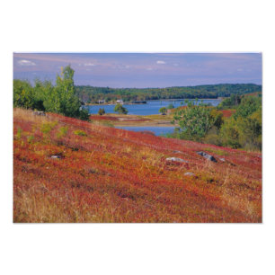 NA, USA, Maine. Blaubeer-Heide. Fotodruck