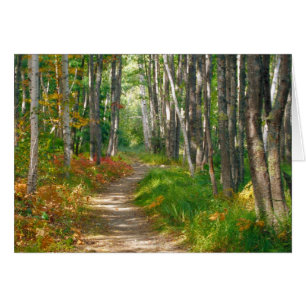 NA, USA, Maine. Chemin de Jessup en Acadie