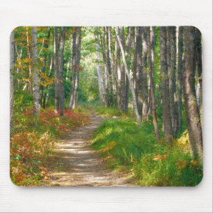 NA, USA, Maine.  Jessup-Pfad in Acadia National Mousepad