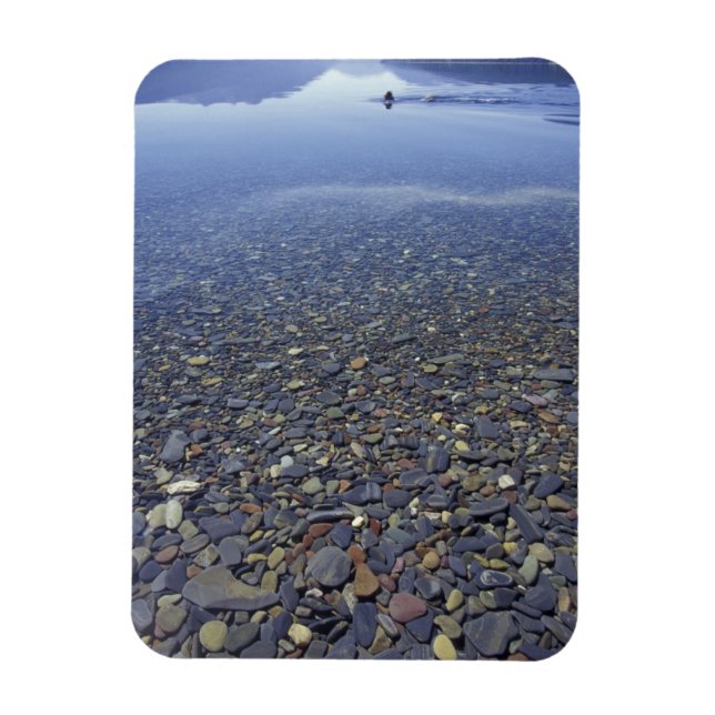 NA, USA, Montana, Glacier NP Rocks in Lake Magnet (Vertikal)