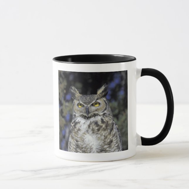 NA, USA, New Mexico, Wildlife West Nature Park Tasse (Rechts)