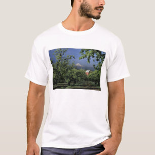 NA, USA, Oregon, bei Hood River Mt. Hood mit T-Shirt