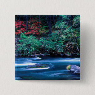 NA, USA, Oregon, Herbstlaub am North Umpquah Button
