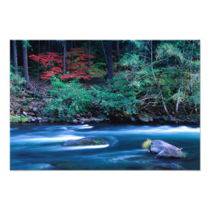NA, USA, Oregon, Herbstlaub am North Umpquah Fotodruck