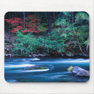 NA, USA, Oregon, Herbstlaub am North Umpquah Mousepad