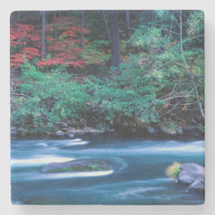 NA, USA, Oregon, Herbstlaub am North Umpquah Steinuntersetzer